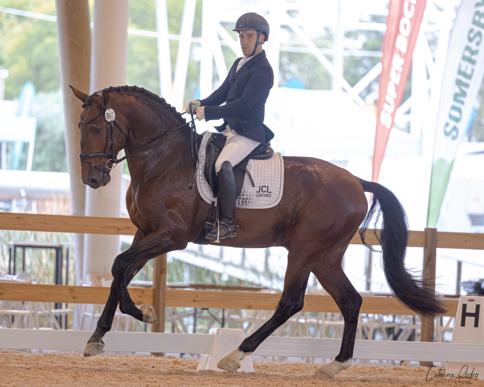 Sublime JCL in trot at Rural Beja 2026