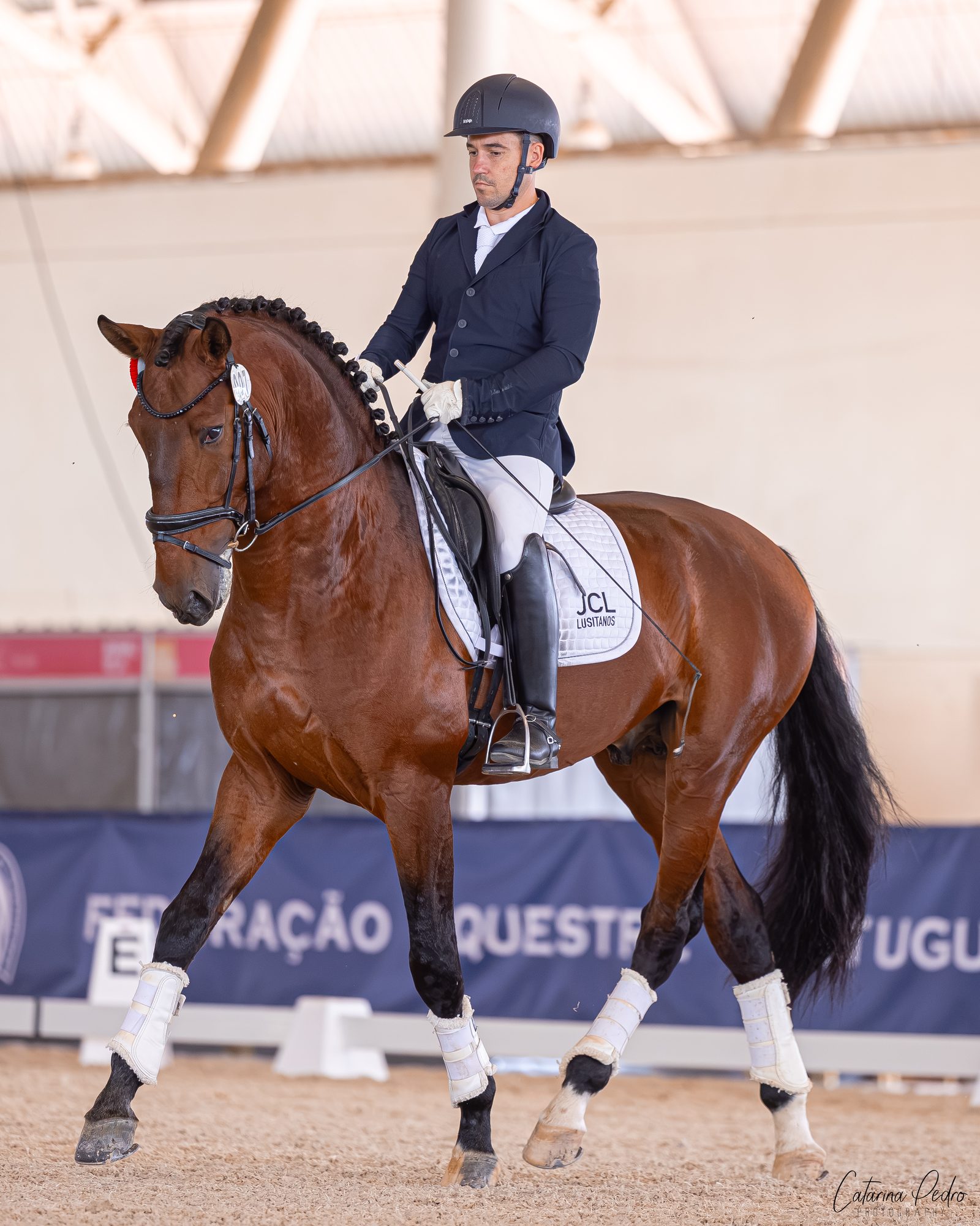 Sublime JCL at the Young Horse Criteria, Rural Beja 2026
