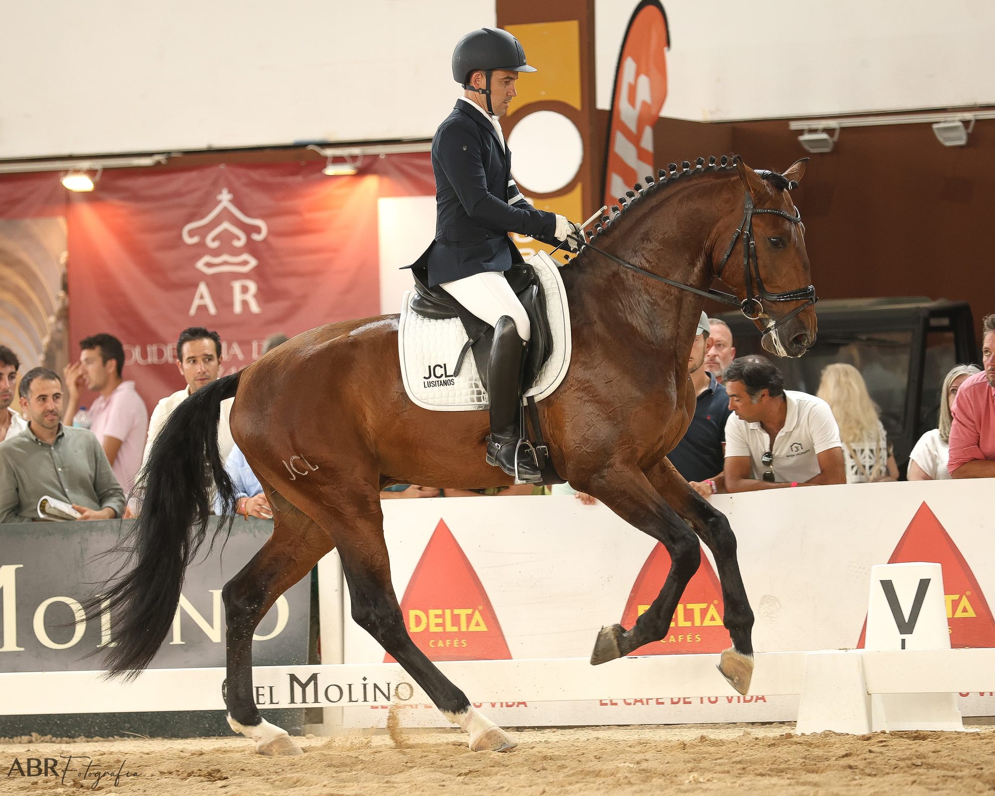 Sublime JCL ridden in collected movement at Badajoz