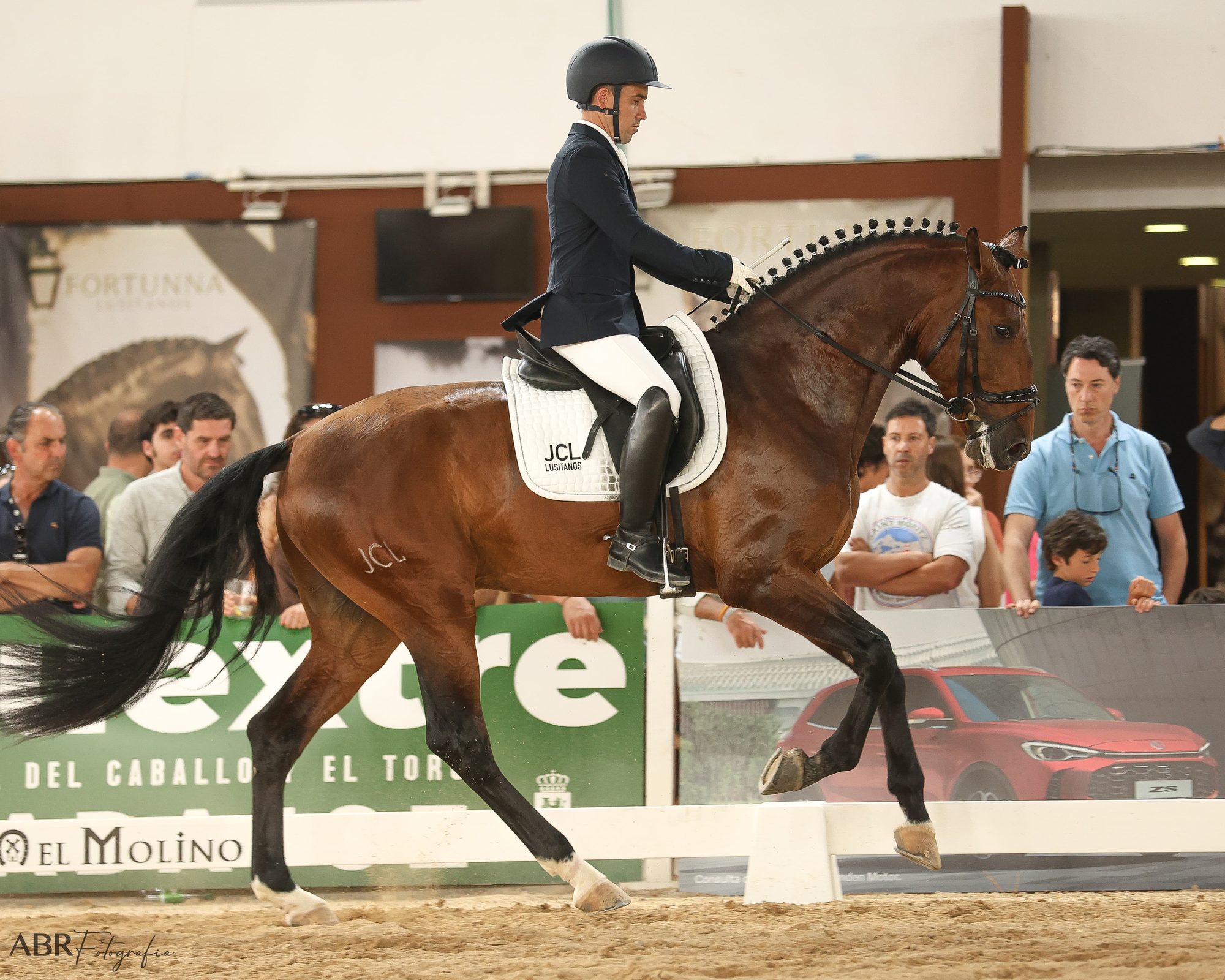 Sublime JCL ridden in collected canter